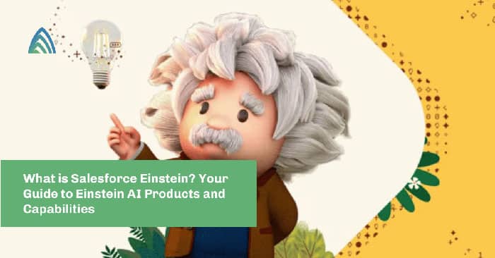 Einstein AI