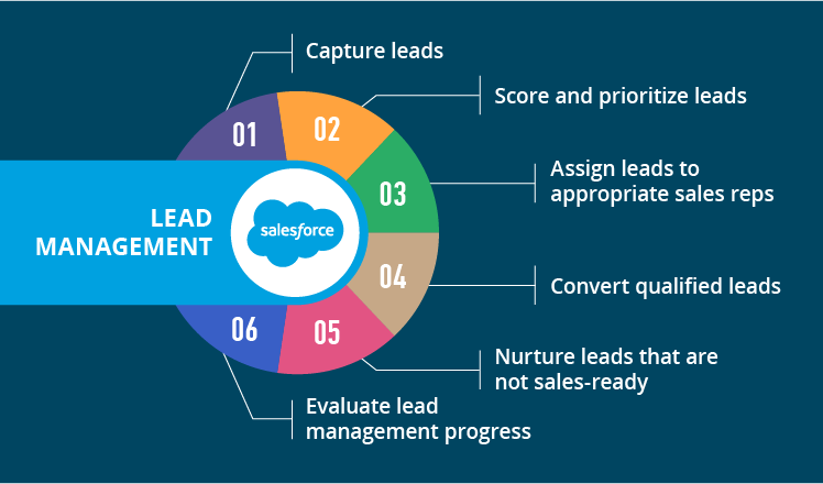 lead management